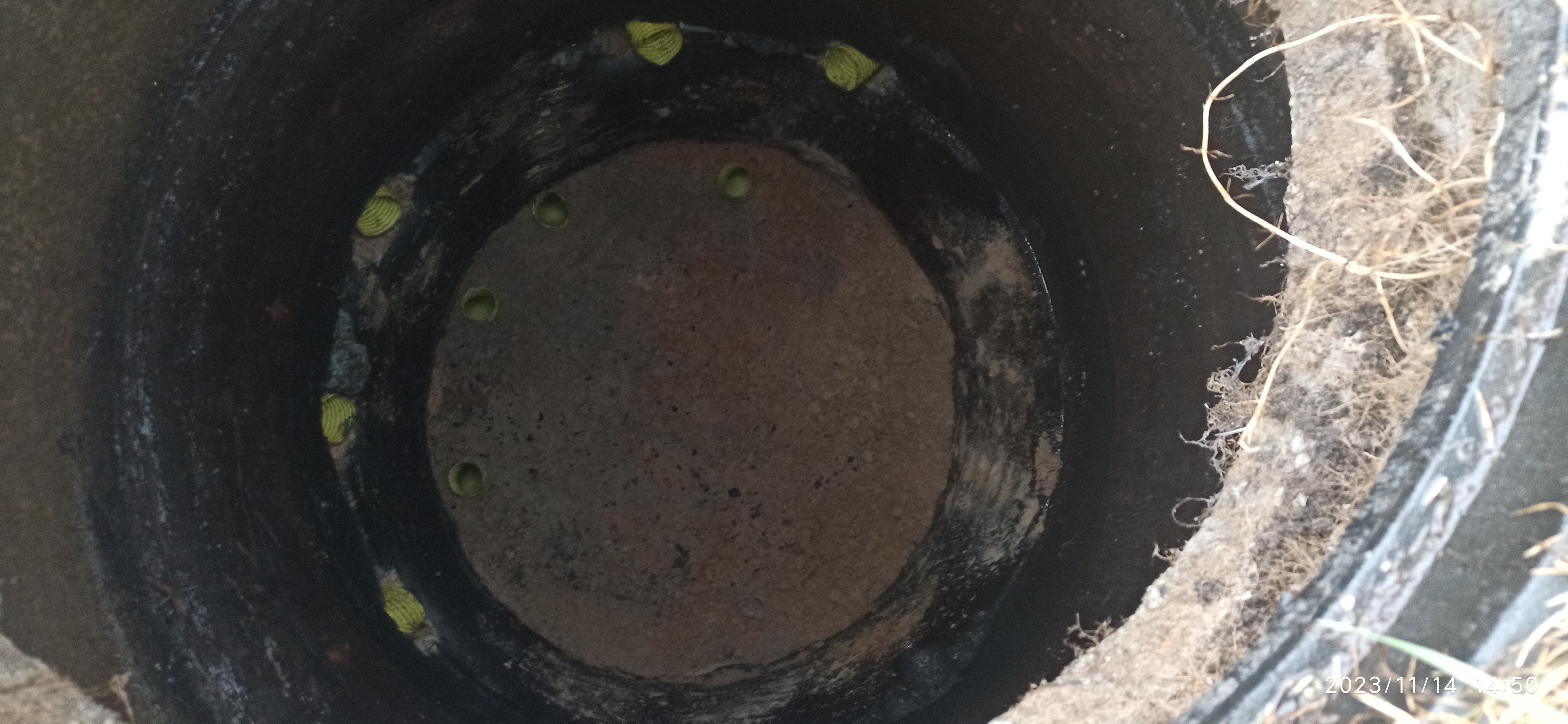 Обслуживание септиков 